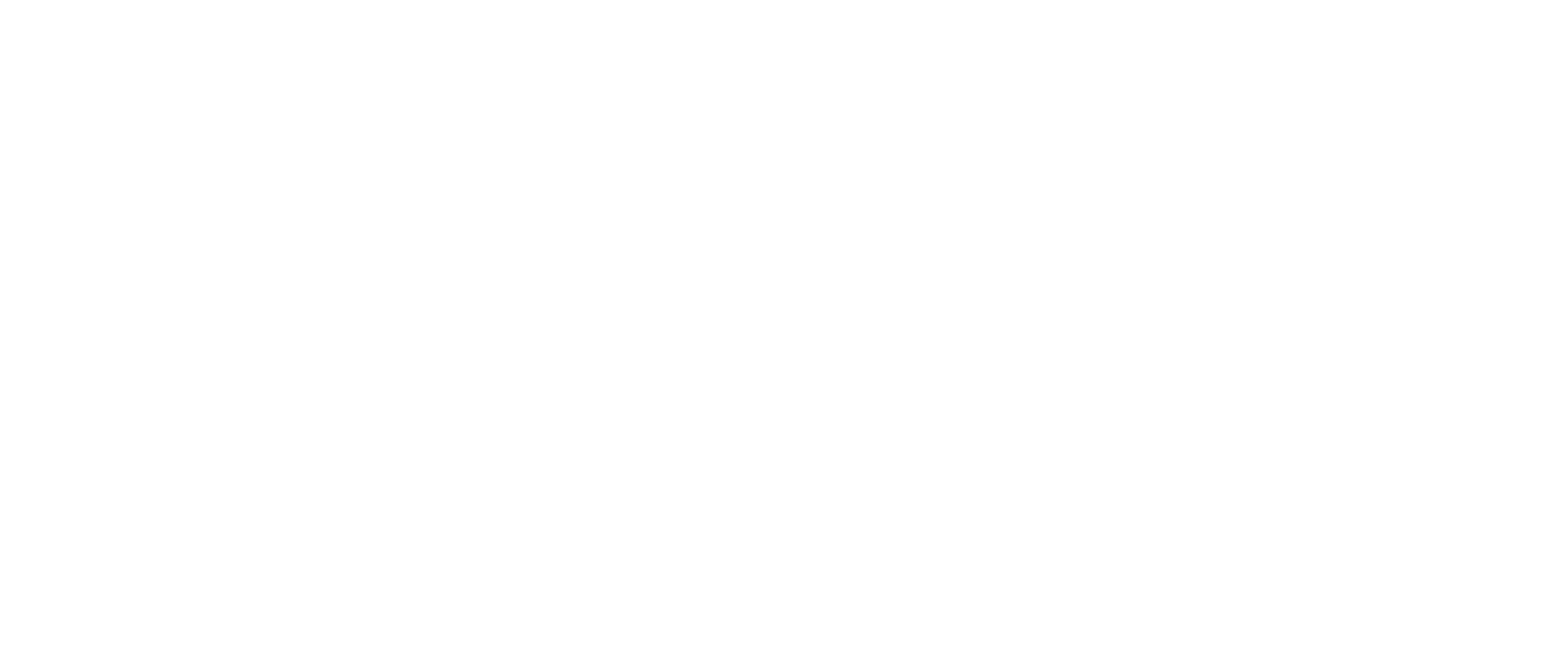 Nexxus logo — white on transparent